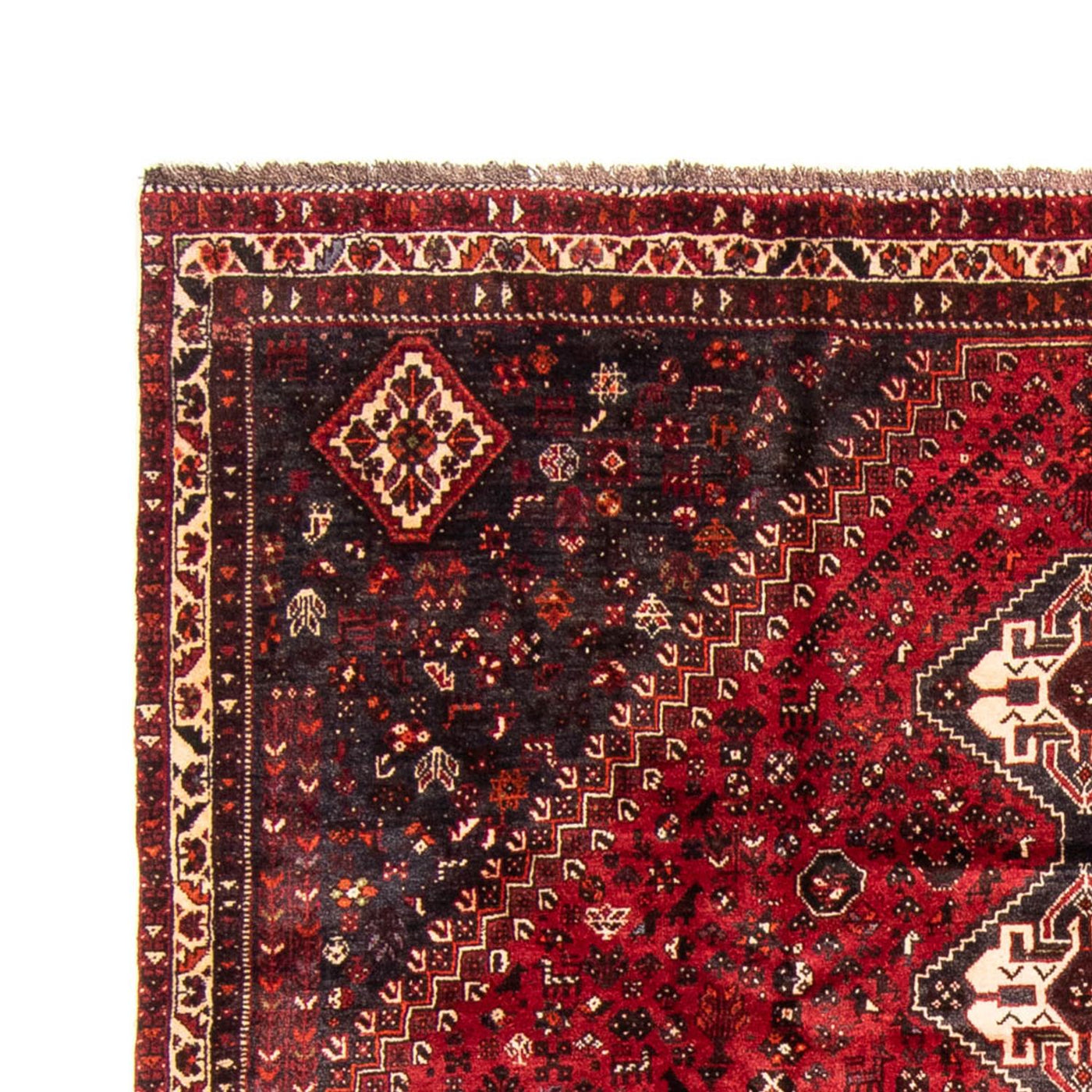 Shiraz Tapete 320x235cm - Tapete persa