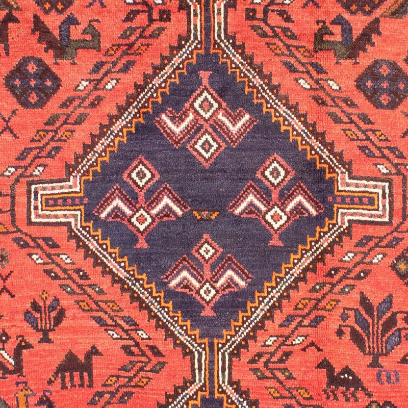 Shiraz Tapete 290x208cm - Tapete persa