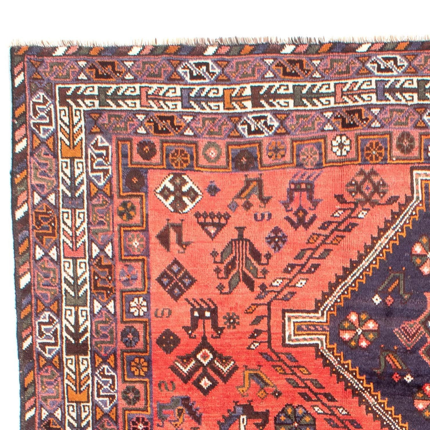 Shiraz Tapete 290x208cm - Tapete persa