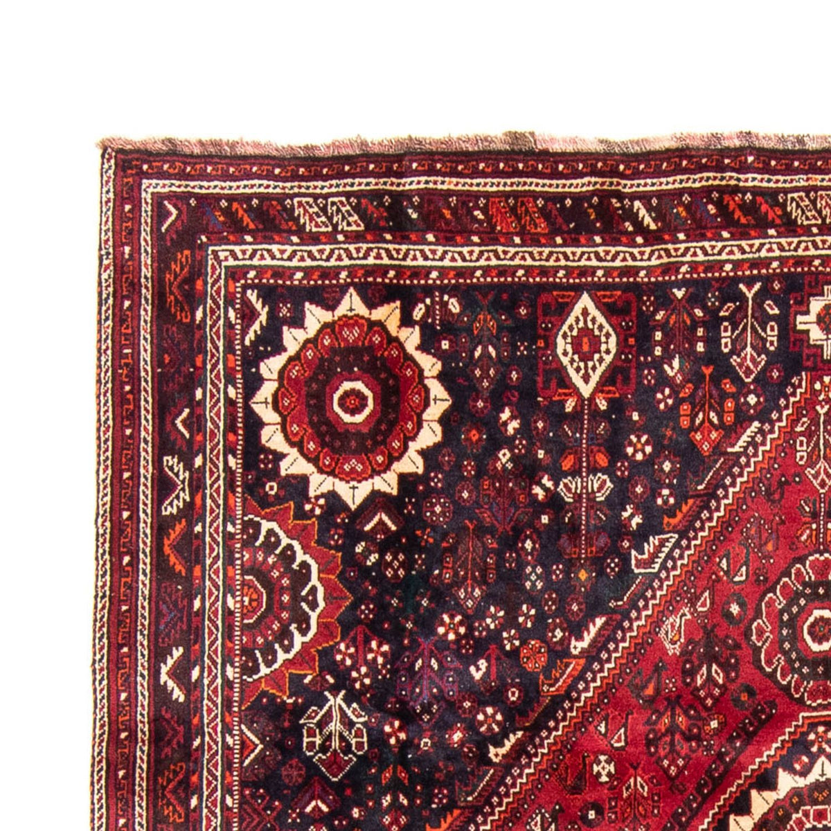 Shiraz Tapete 230x315cm - Tapete persa