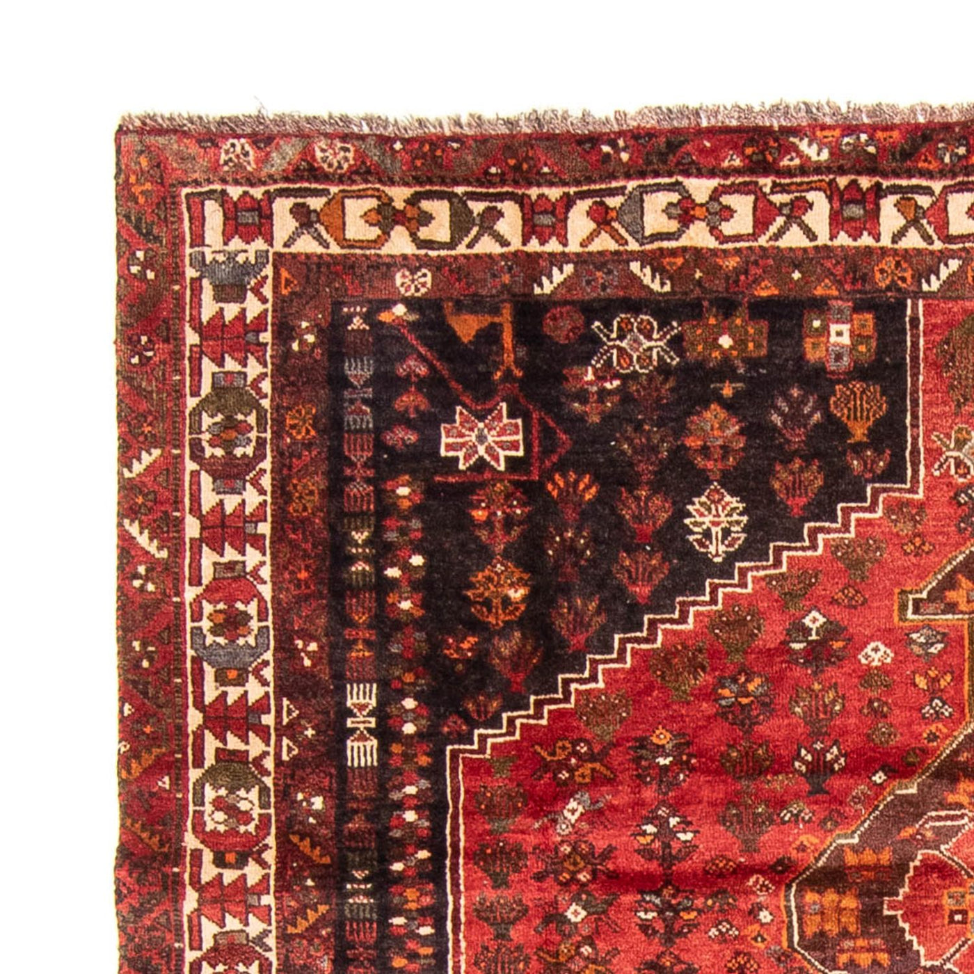 Tapete Persa - Nomadic - 310 x 225 cm - vermelho escuro