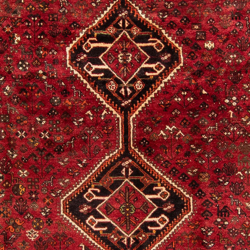 Shiraz Tapete 230x325cm - Tapete persa