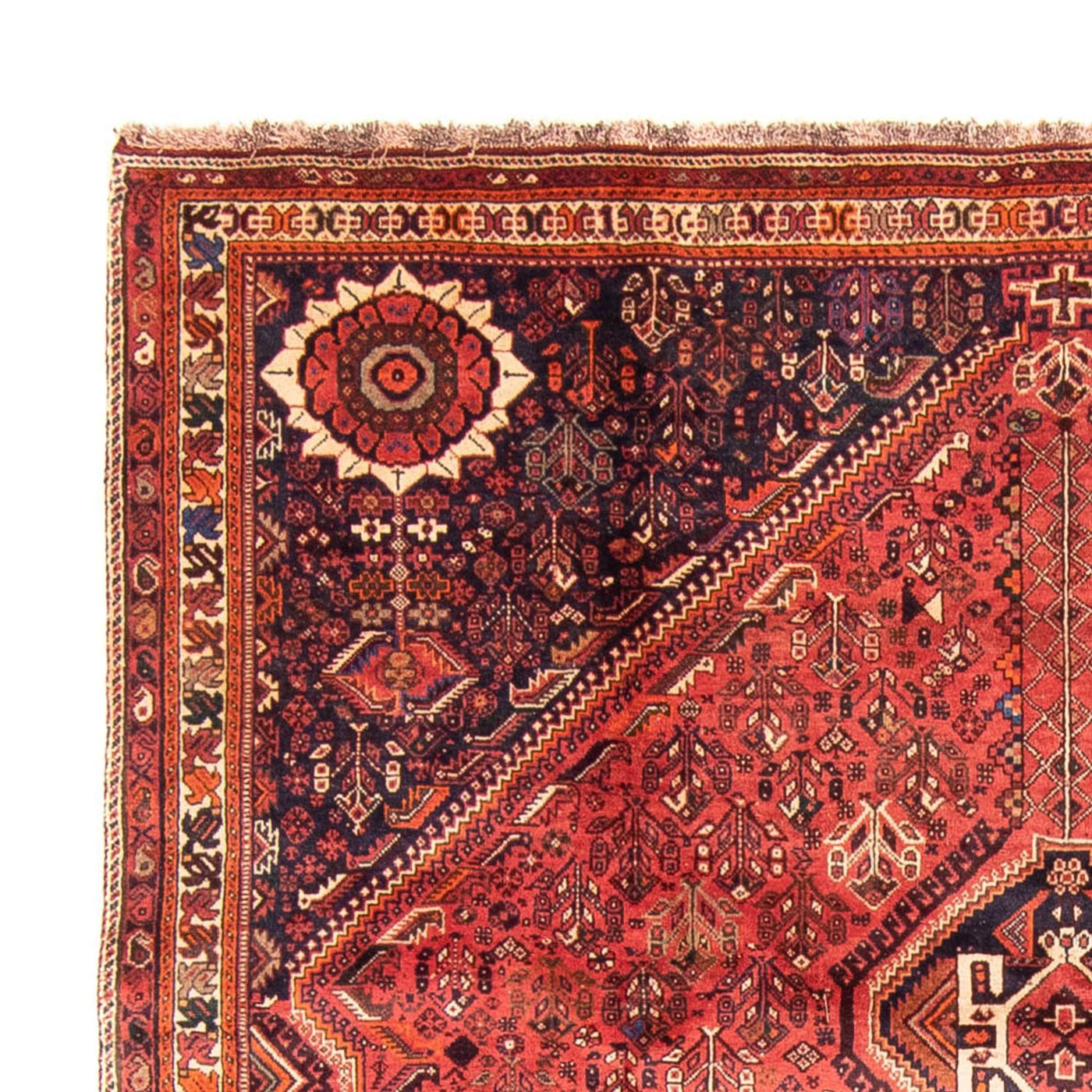 Qashqai Tapete 315x220cm - Tapete persa