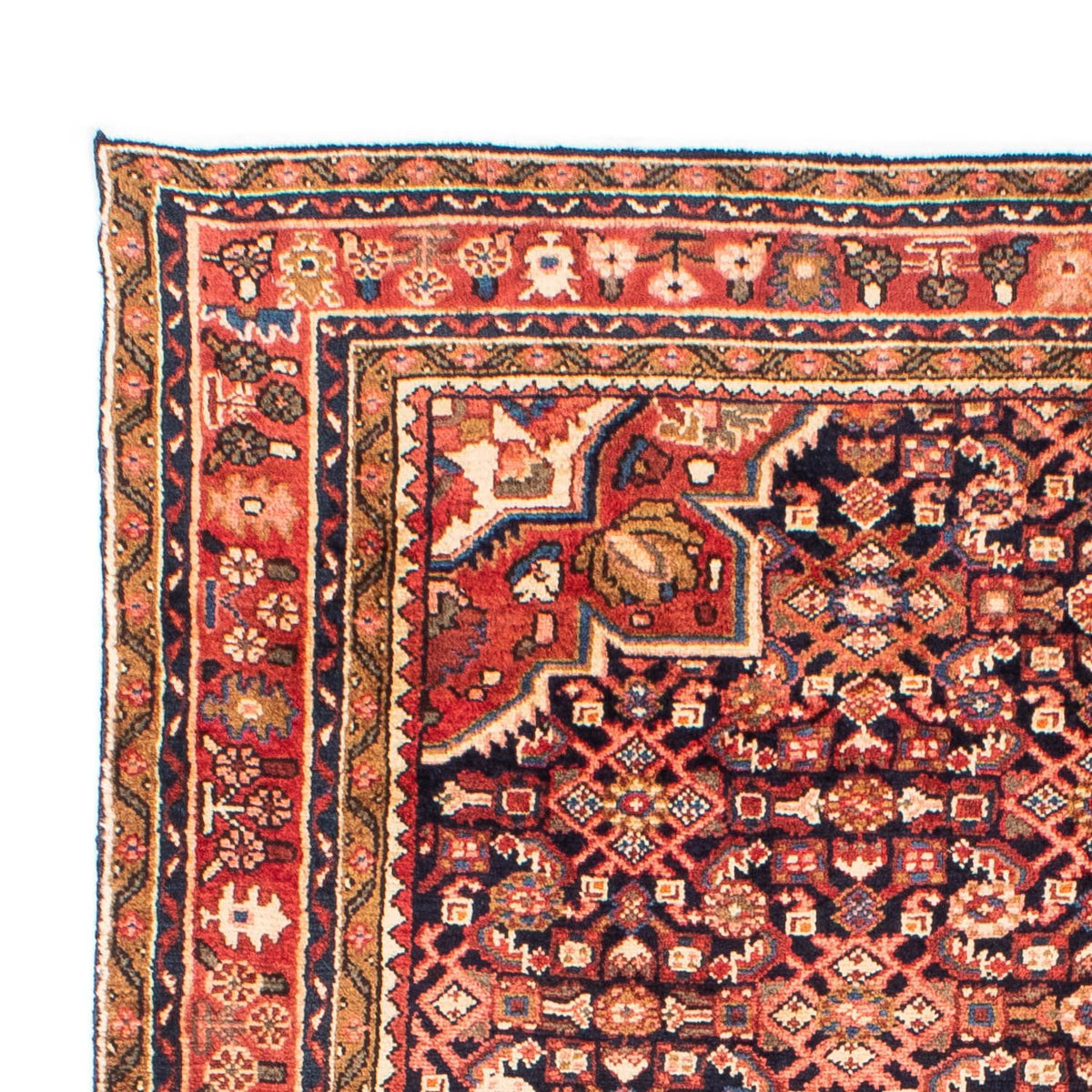 Hosseinabad Tapete 153x215cm - Tapete persa