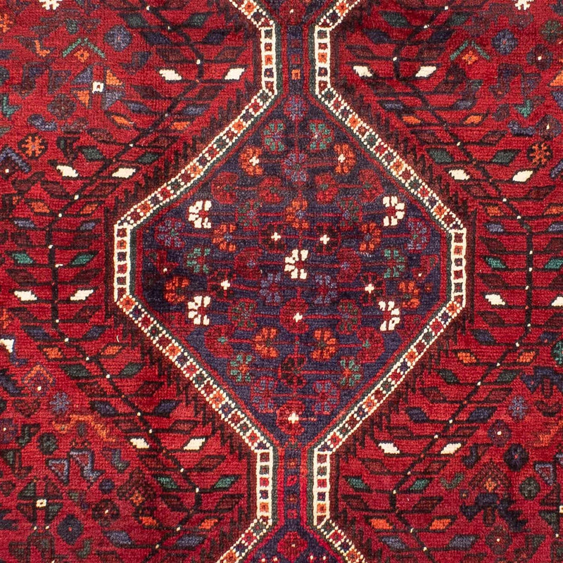 Shiraz Tapete 300x208cm - Tapete persa