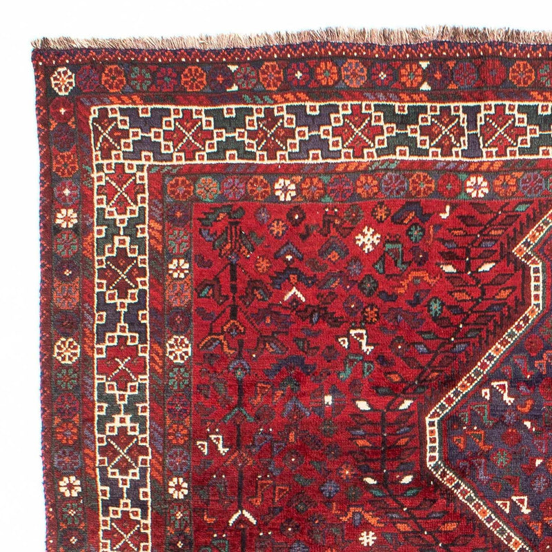 Shiraz Tapete 300x208cm - Tapete persa