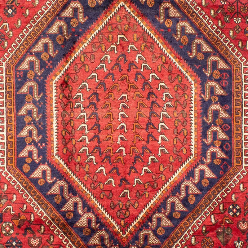 Shiraz Tapete 298x207cm - Tapete persa