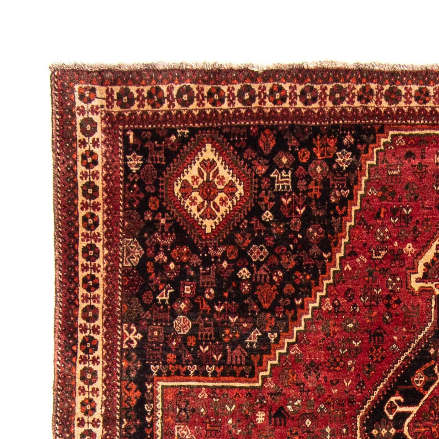 Qashqai Tapete 320x230cm - Tapete persa