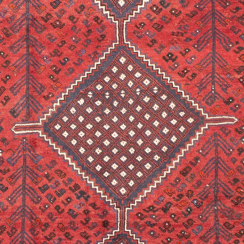 Shiraz Tapete 310x215cm - Tapete persa