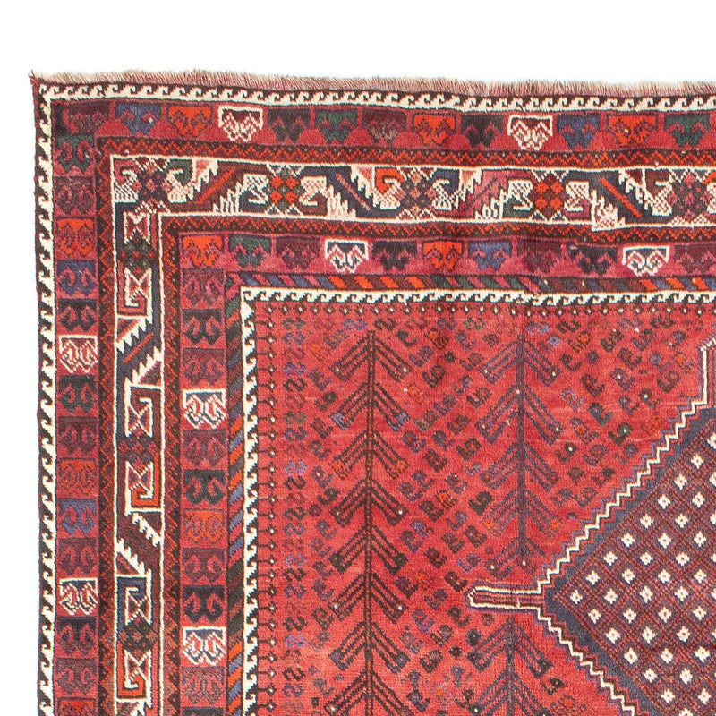 Shiraz Tapete 310x215cm - Tapete persa