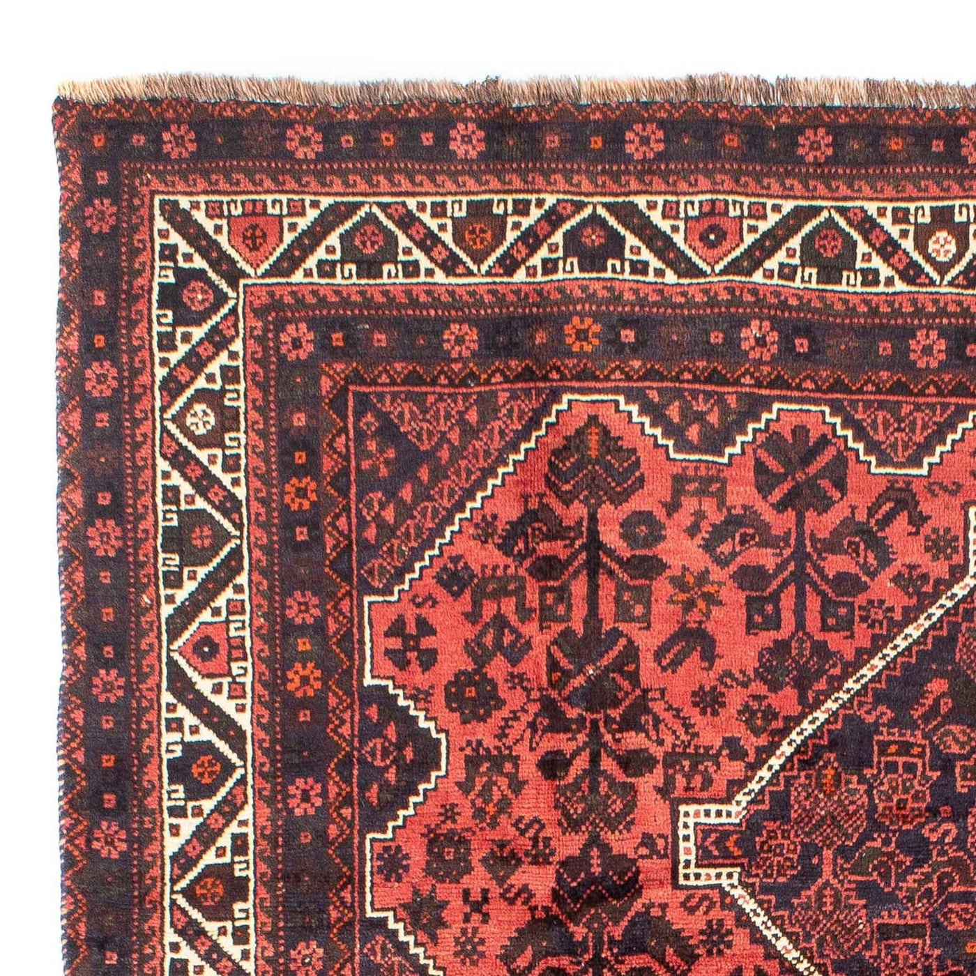 Shiraz Tapete 300x207cm - Tapete persa