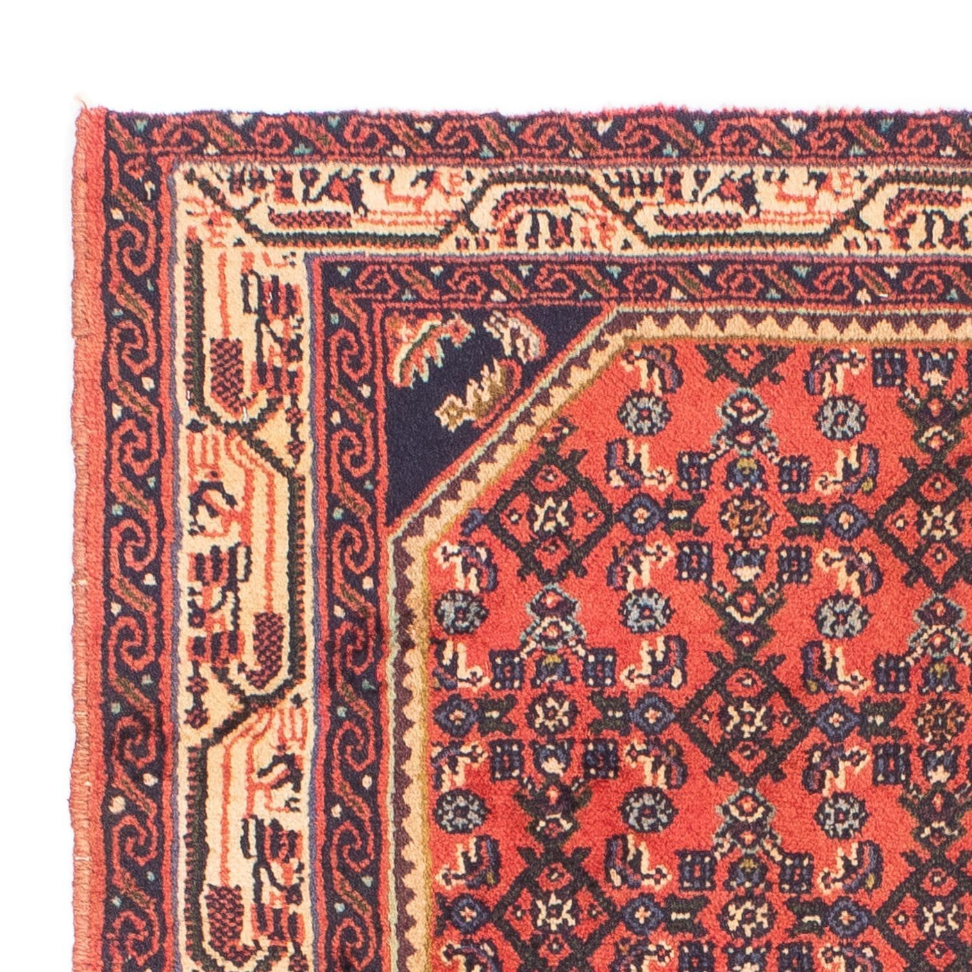 Hosseinabad Tapete 150x98cm - Tapete persa