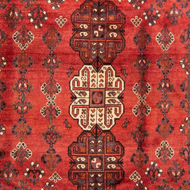 Shiraz Tapete 235x323cm - Tapete persa