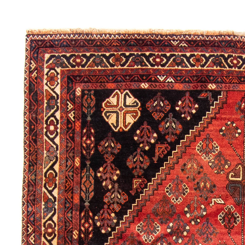 Shiraz Tapete 235x323cm - Tapete persa