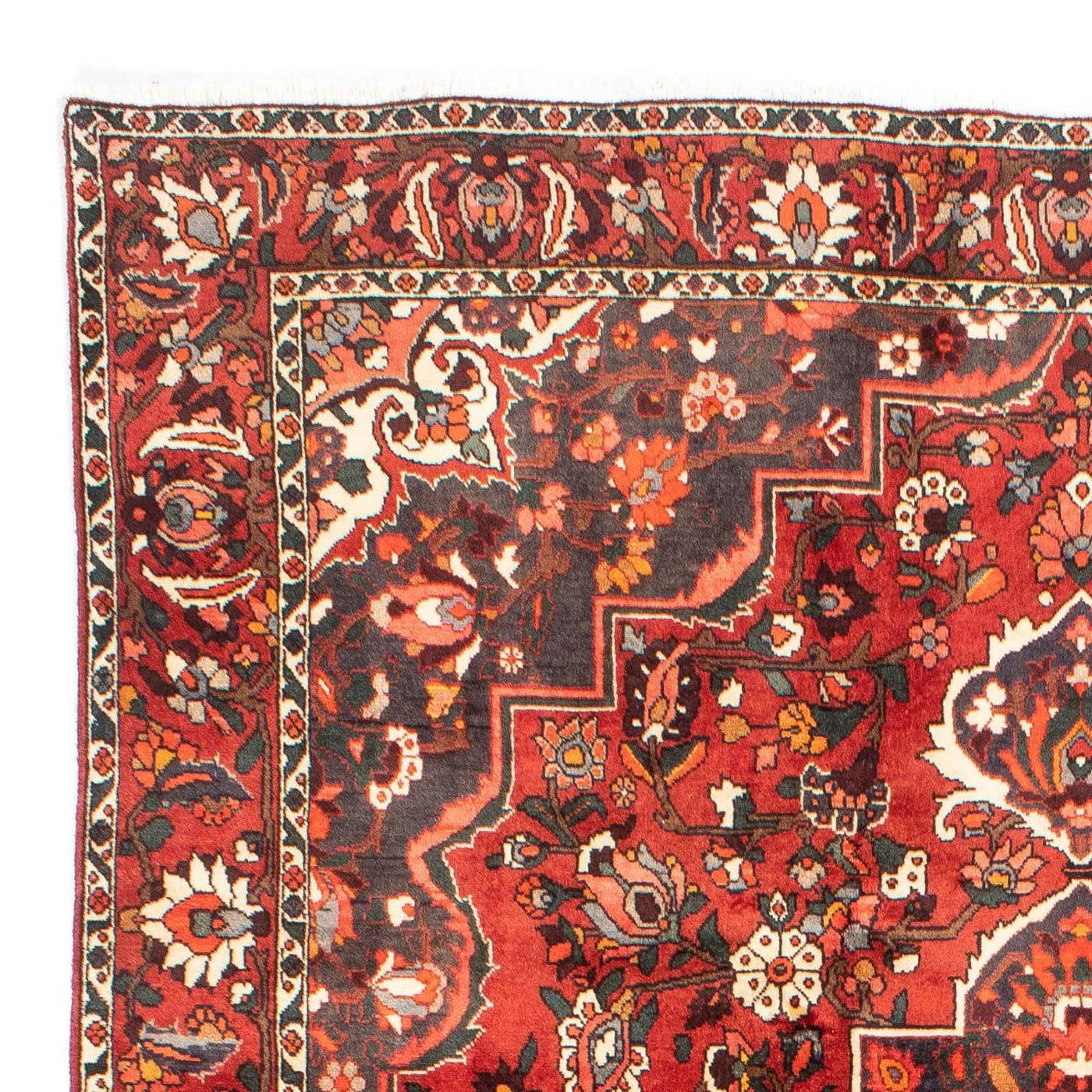 Bakhtiari Tapete 300x207cm - Tapete persa