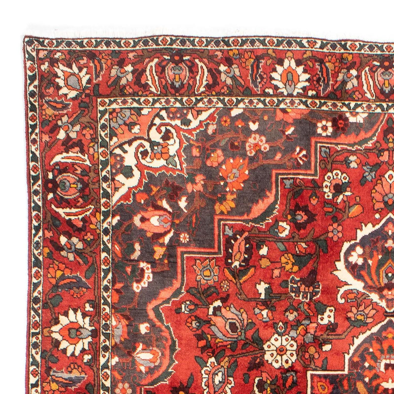 Bakhtiari Tapete 300x207cm - Tapete persa