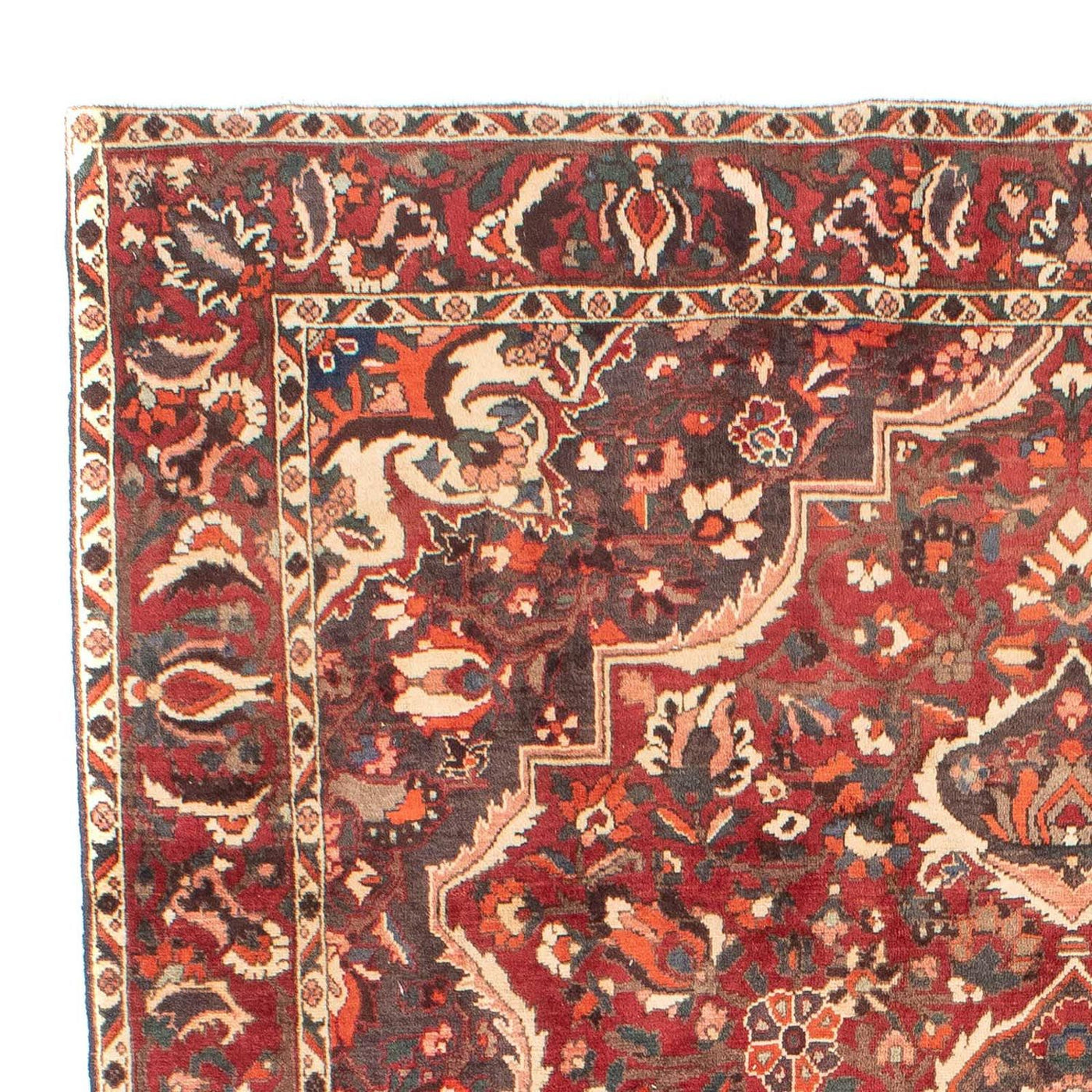 Bakhtiari Tapete 294x205cm - Tapete persa
