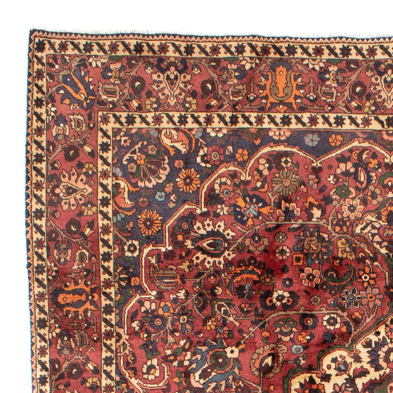 Bakhtiari Tapete 305x211cm - Tapete persa