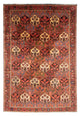 Tapete Persa - Nomadic - 297 x 205 cm - castanho