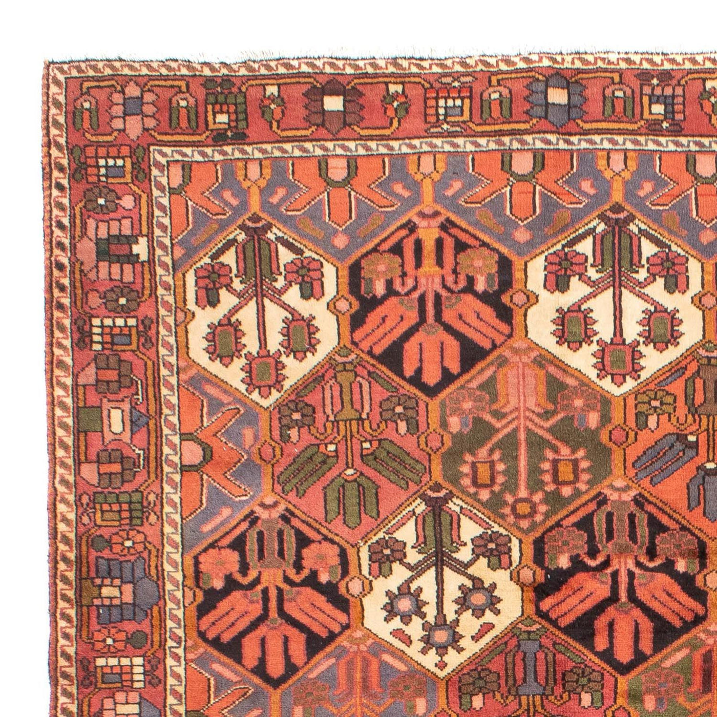 Tapete Persa - Nomadic - 297 x 205 cm - castanho