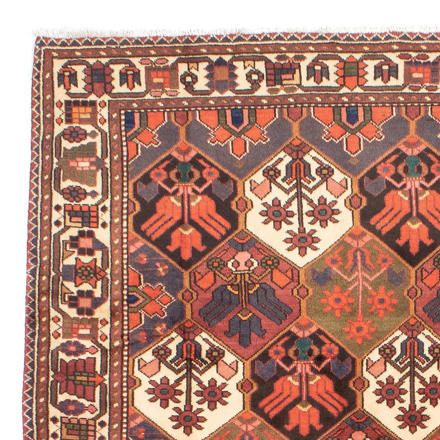 Bakhtiari Tapete 287x207cm - Tapete persa