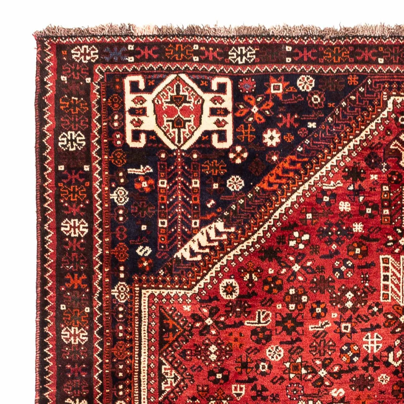 Shiraz Tapete 222x157cm - Tapete persa