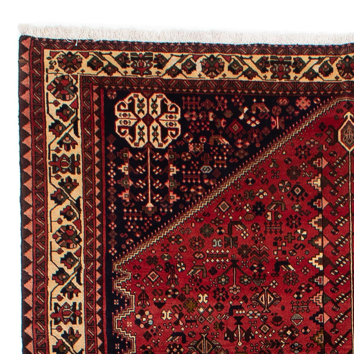 Shiraz Tapete 200x300cm - Tapete persa