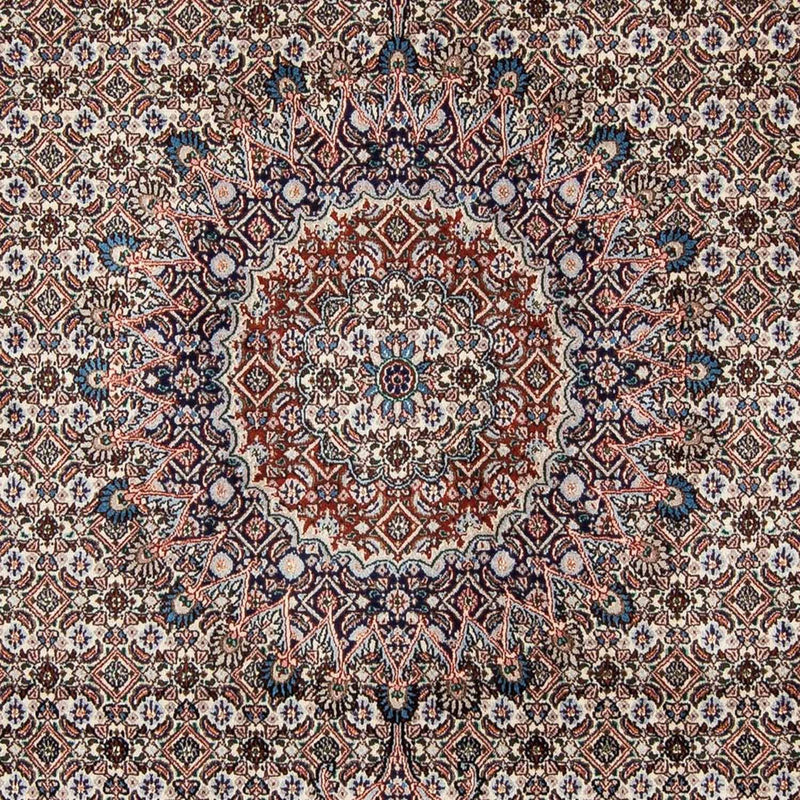 Moud Tapete 295x200cm - Tapete persa