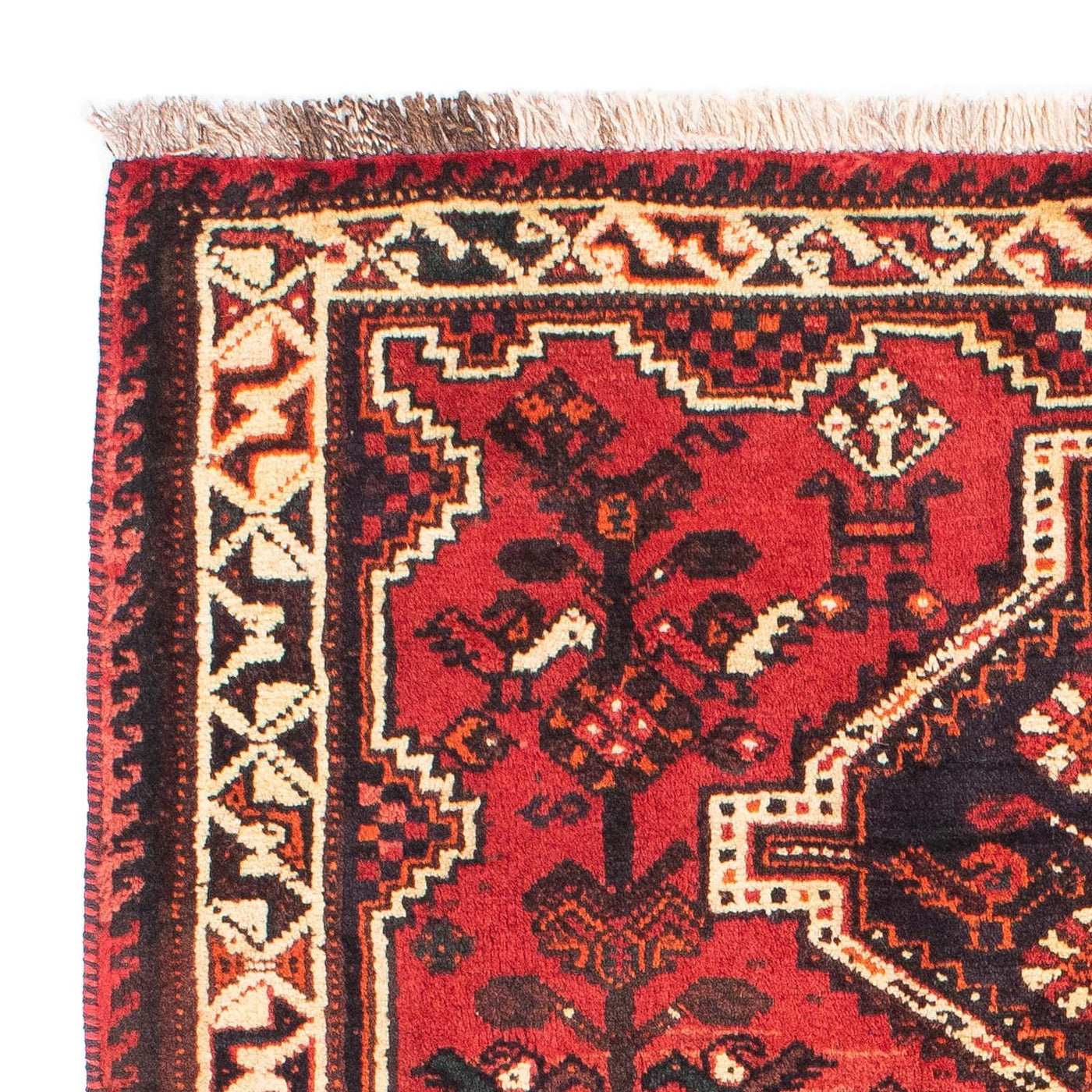 Shiraz Tapete 160x113cm - Tapete persa