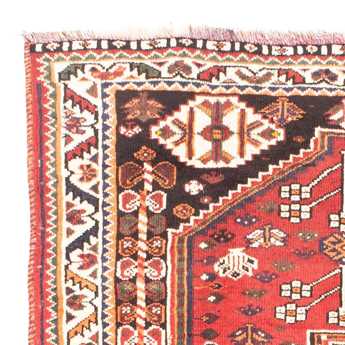 Shiraz Tapete 147x110cm - Tapete persa