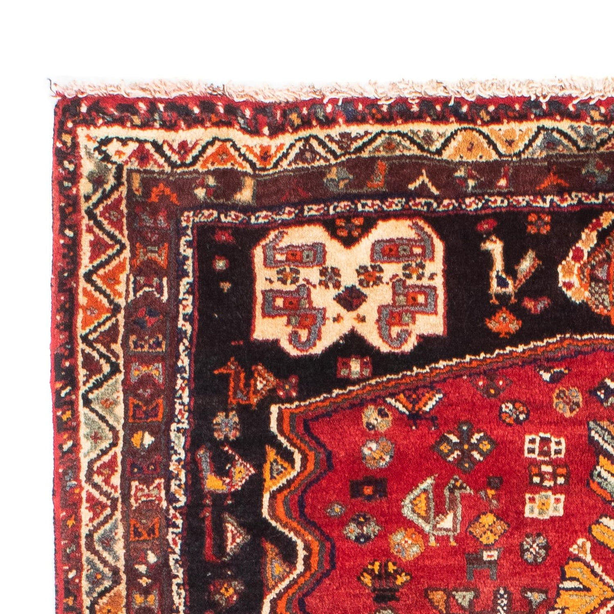 Shiraz Tapete 105x160cm - Tapete persa