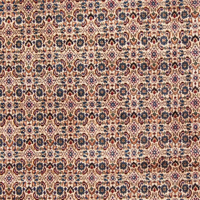 Moud Tapete 302x209cm - Tapete persa
