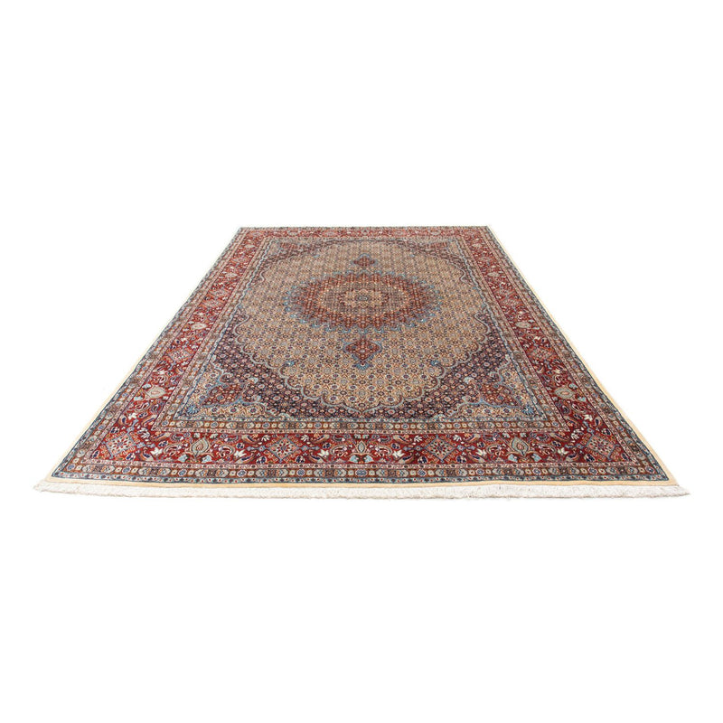 Moud Tapete 295x200cm - Tapete persa