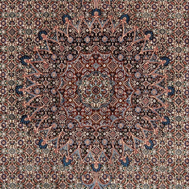 Moud Tapete 289x202cm - Tapete persa