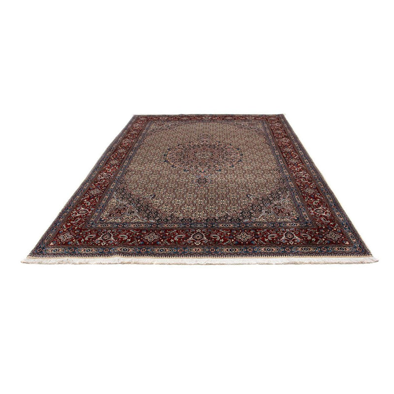 Moud Tapete 289x202cm - Tapete persa