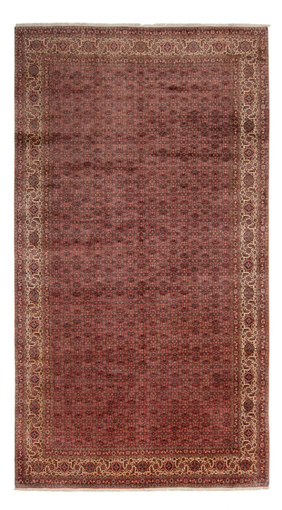 Bidjar - Takab Tapete 256x482cm - Tapete persa
