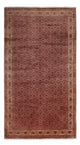 Bidjar - Takab Tapete 482x256cm - Tapete persa