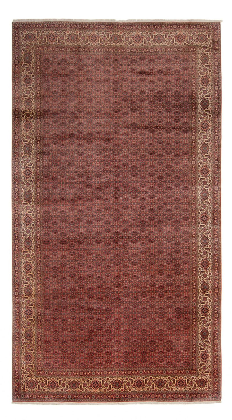 Bidjar - Takab Tapete 482x256cm - Tapete persa