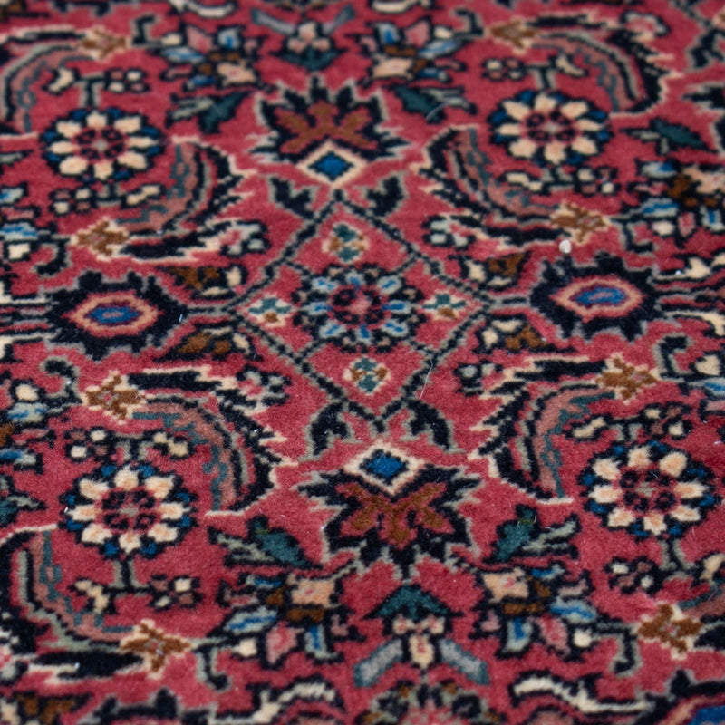 Bidjar - Takab Tapete 482x256cm - Tapete persa