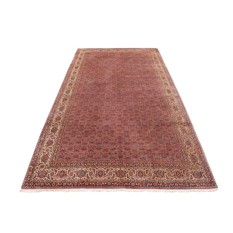 Bidjar - Takab Tapete 482x256cm - Tapete persa