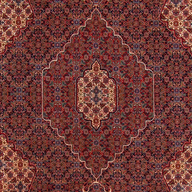 Nain Tapete 335x263cm - Tapete persa