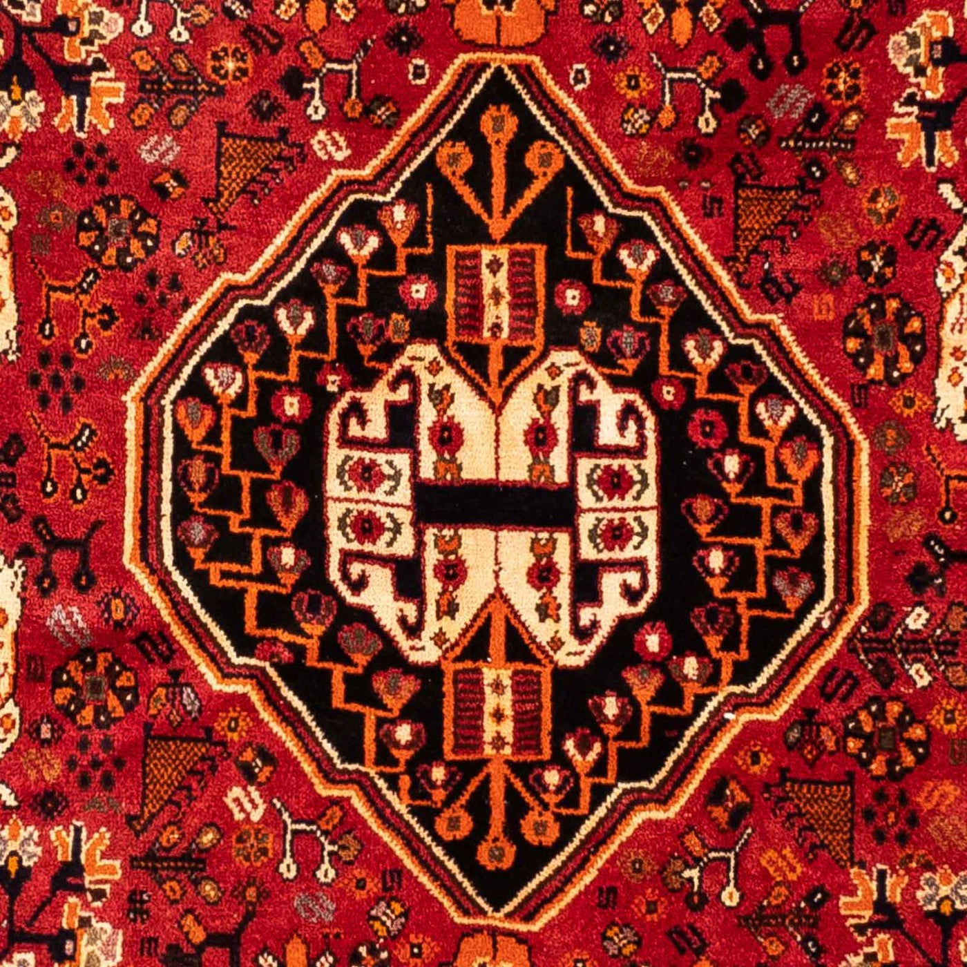 Shiraz Tapete 248x160cm - Tapete persa