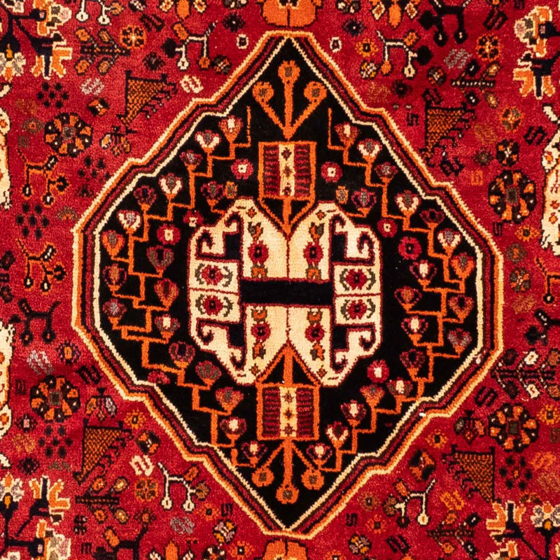 Shiraz Tapete 248x160cm - Tapete persa