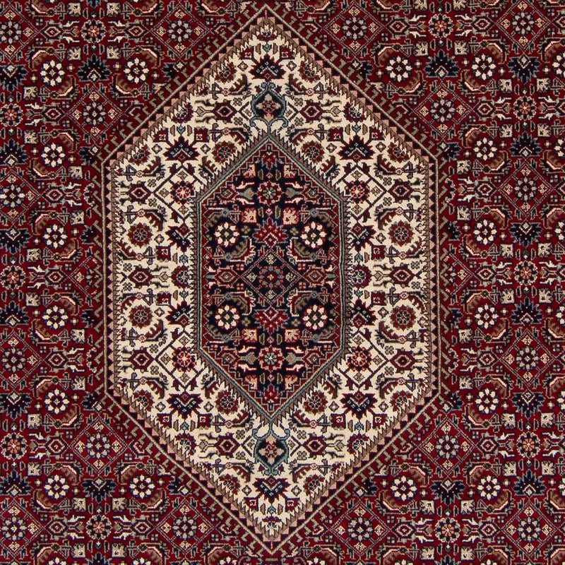 Bidjar - Takab Tapete 297x202cm - Tapete persa