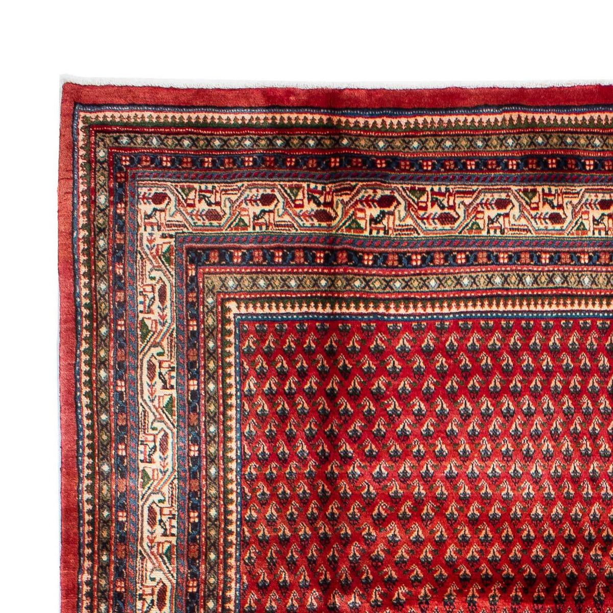 Mir Tapete 214x329cm - Tapete persa