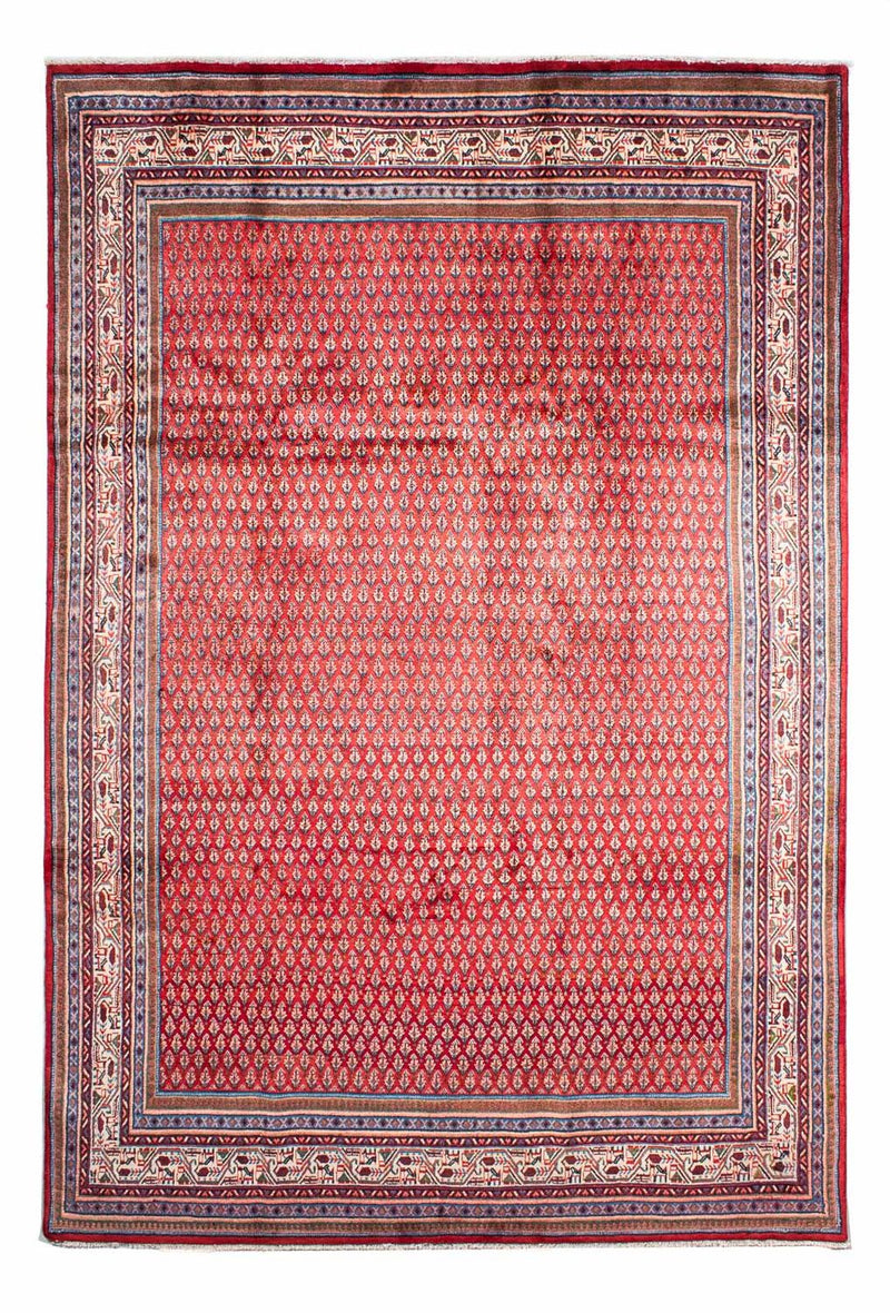 Mir Tapete 317x219cm - Tapete persa