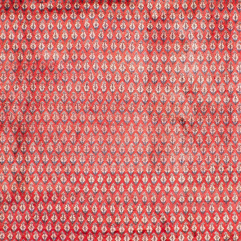 Mir Tapete 317x219cm - Tapete persa