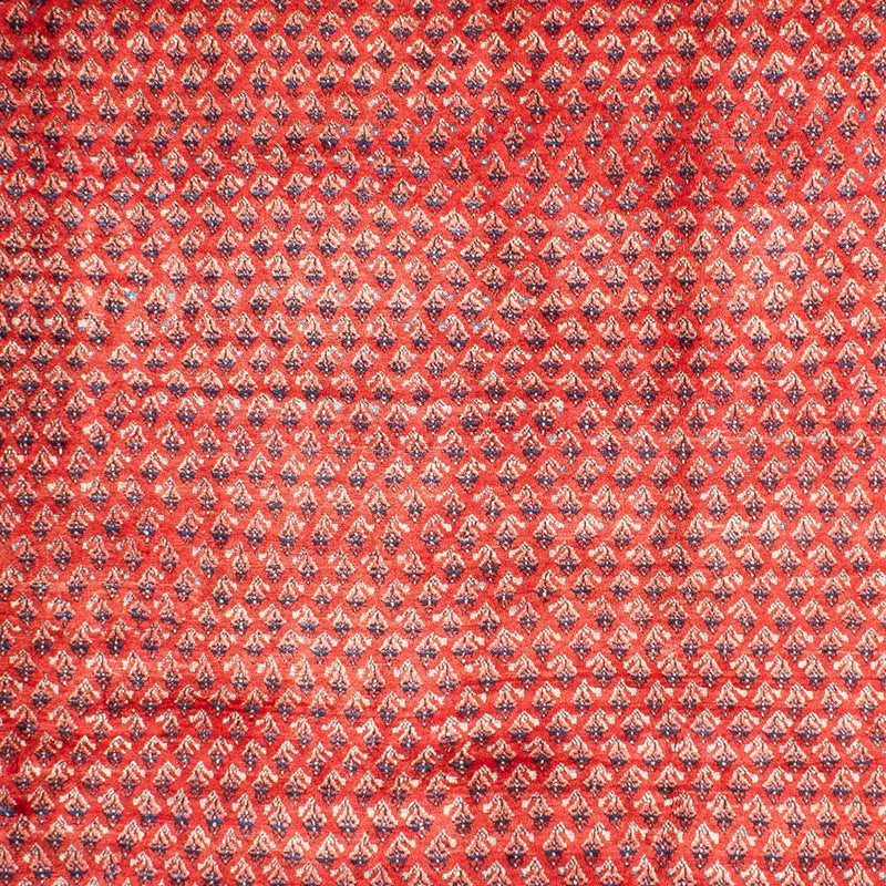 Mir Tapete 316x220cm - Tapete persa