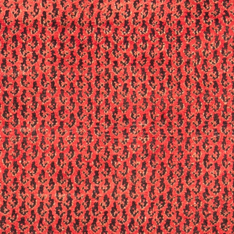 Hamadan Tapete 312x112cm - Tapete persa
