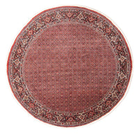 Bidjar Tapete 300x300cm - Tapete persa – product image